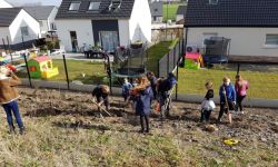 Plantations Cavalier   022